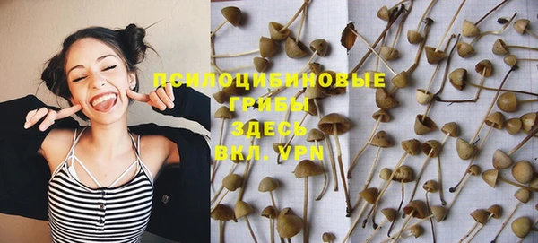 трава Лагань