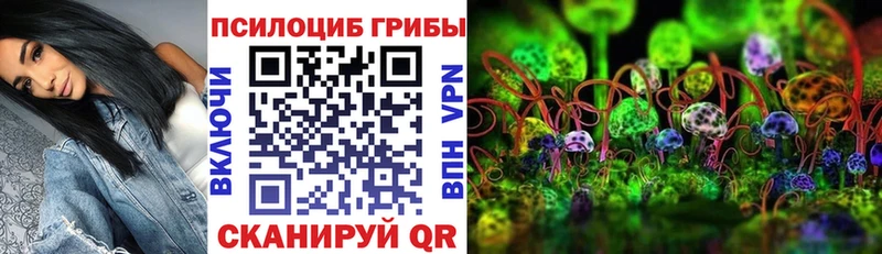 Купить  Салават  Псилоцибиновые грибы мухоморы 
